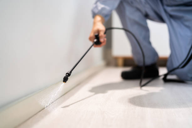 Licensed Pest Control service in Sandwich, IL - Show Me Pest Control