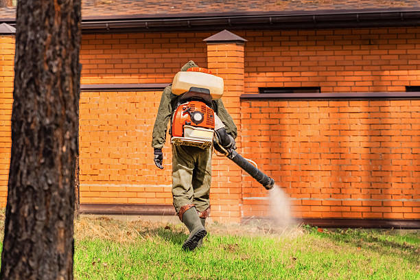 Top rated local Mosquito Control specialists in Sandwich, IL